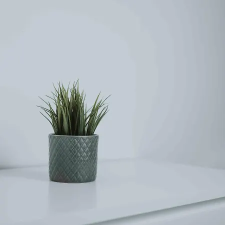 Wooden Soul : Duplex 2 Avec Jardin Commun *