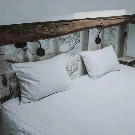 Appartement Wooden Soul : Duplex 2 Avec Jardin Commun